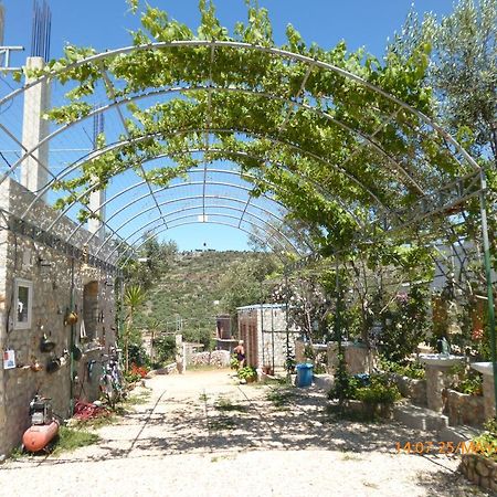 Apartments Cerro كساميل المظهر الخارجي الصورة